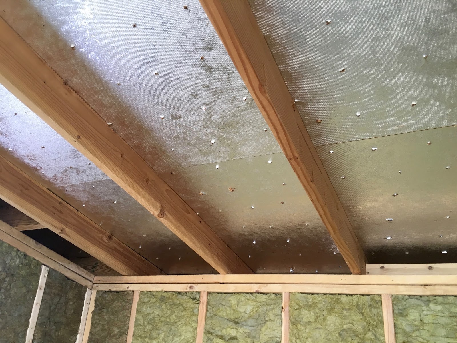 Syonyk's Project Blog: Solar Shed: Part 5: Roof Insulation