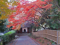 振り返れば紅葉の仁王門