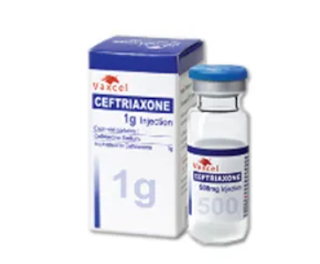 Ceftriaxone سيفترياكسون