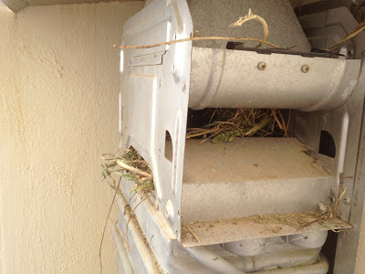 gas heater nest