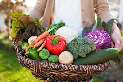 Feast Of Harvest - Shavuot - Feast Of Weeks Meaning And Significance To Jewish People