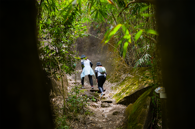 Trekking Núi Dinh sau ngày Sài Gòn dãn cách 3 tháng