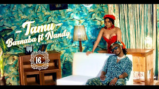 VIDEO | Barnaba Ft Nandy - Tamu (Mp4 Video Download)