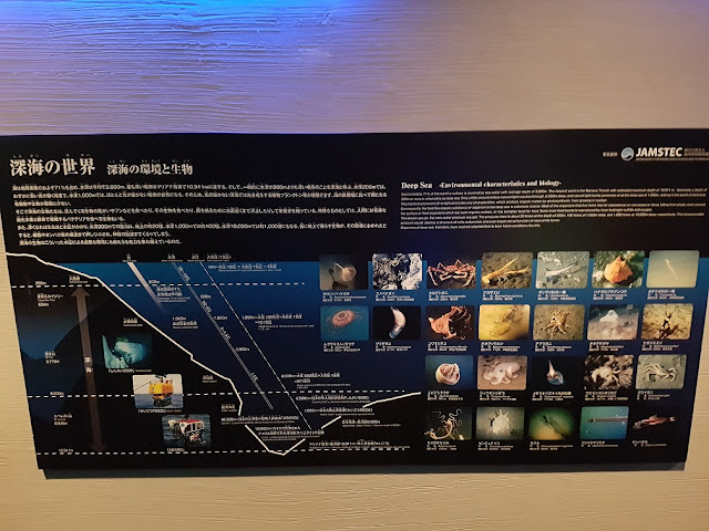 osaka aquarium kaiyukan japan deep