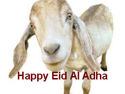 >Eid Mubarak Quotes, Messages, Wishes, Happy Eid al-Adha 