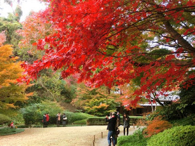  明月院