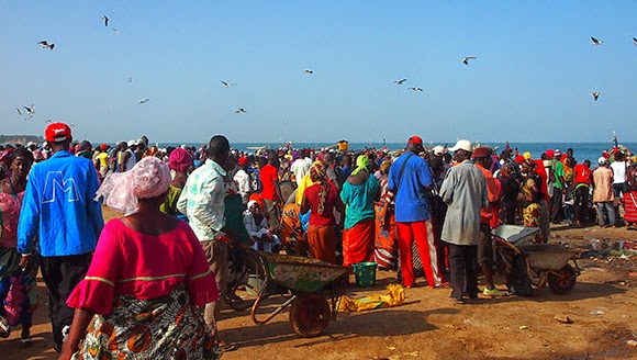 tanji fishing market