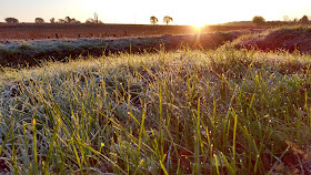 Frosty autumn morning in Norfolk countryside