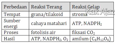 Tabel perbedaan reaksi terang dan gelap