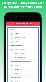 Categorize kidney tumor with RENAL nephrometry score