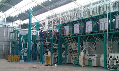 How To Get Profit From Flour Mill Plant-Leading Factory of Wheat Flour Mill Plant