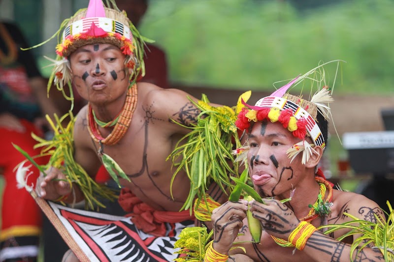 24+ Ide Spesial Tarian Mentawai