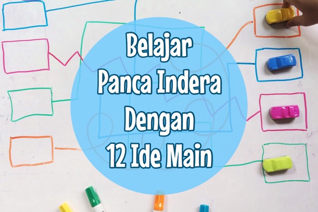 12 ide main seru untuk belajar panca indera