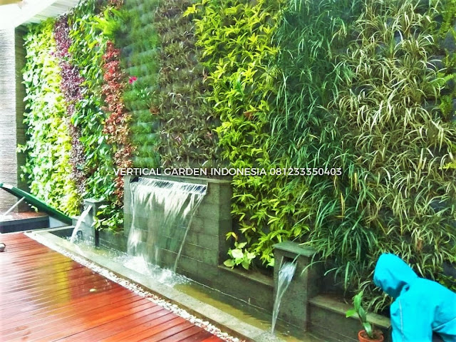 VERTICAL GARDEN INDONESIA SPESIALIS JASA PEMBUATAN VERTICAL GARDEN DI PANTAI INDAH KAPUK DAN DI SELURUH WILAYAH PANTAI INDAH KAPUK  DENGAN TENAGA YANG PROFESIONAL DAN DAPAT DI PERCAYA YANG SELALU MENGUTAMAKAN SEBUAH MUTU DAN KUALITAS PEMASANGAN VERTICAL GARDEN/TAMAN DINDING, JASA TUKANG TAMAN VERTICAL PANTAI INDAH KAPUK , JASA VERTICAL GARDEN PANTAI INDAH KAPUK