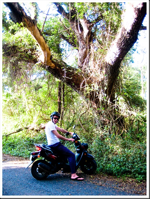 Puerto Rico 2010 130