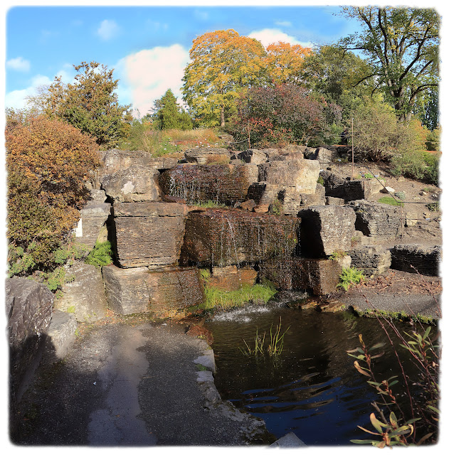 Skandinavisk rygg i Botanisk hage på Tøyen i Oslo.