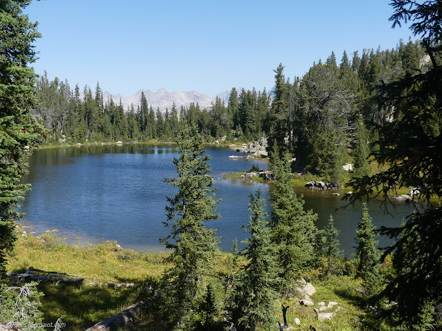 208: lake among trees