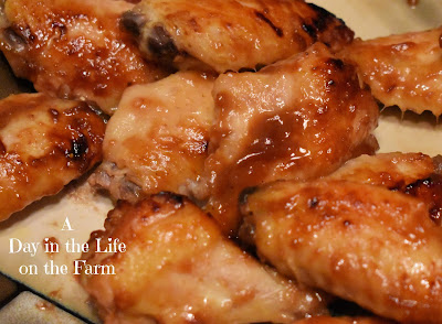 Cranberry Glazed Sticky Wings