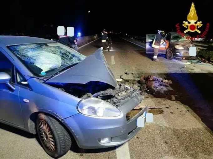 Puglia, incidente sulla SS 379: tre persone ferite in un collisione frontale tra due auto