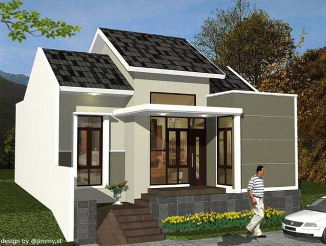 60 Gambar Rumah  Minimalis  1 Lantai Tampak  Depan  dan Warna 