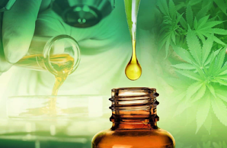 Olio di cannabis contro il cancro al polmone: “Risultati sorprendenti, tumore dimezzato” 