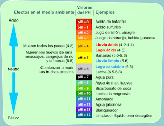 Resultado de imagen de ph 11