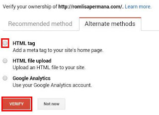 metode alternatif untuk verifikasi domain