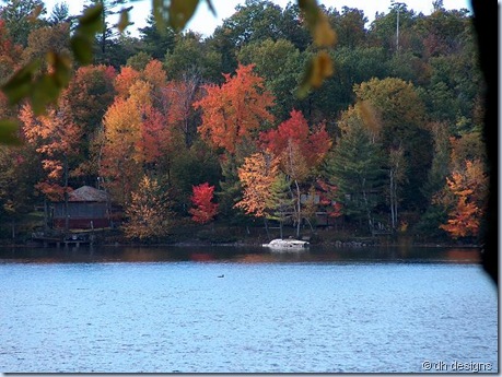 FallColorsatOttyLake