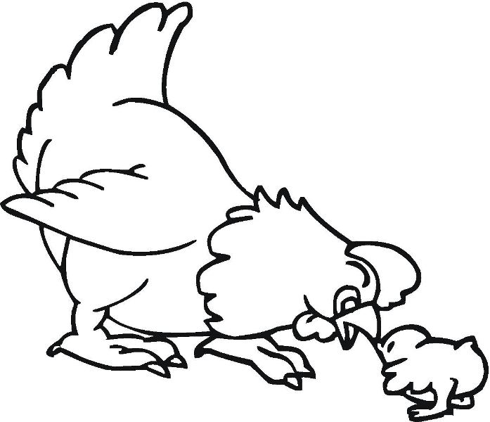 Belajar mewarnai gambar binatang ayam untuk anak - BELAJAR 