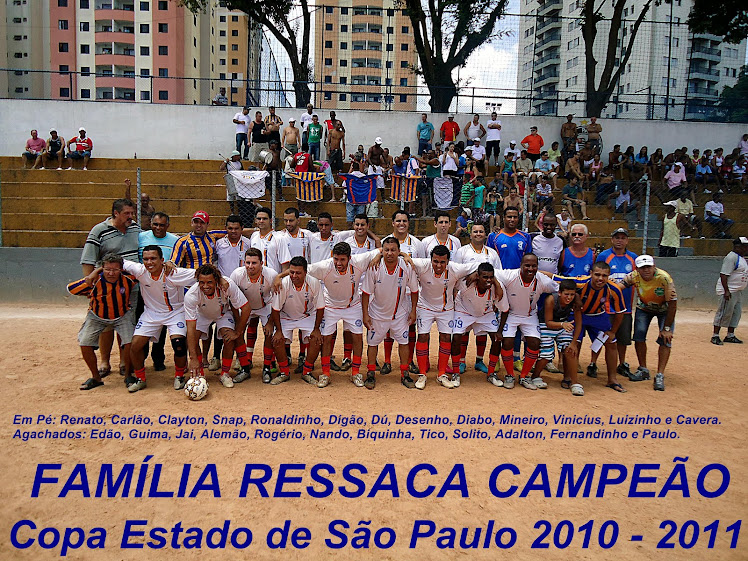 Copa Estado de São Paulo 2010 - 2011