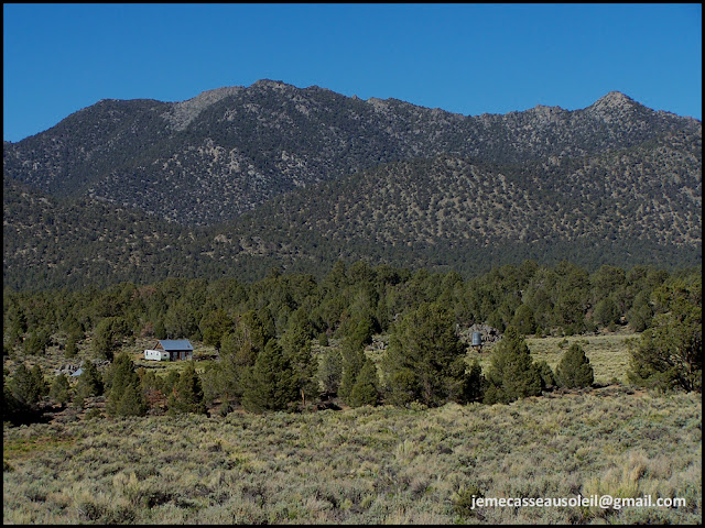 Paysage de la Sierra Nevada