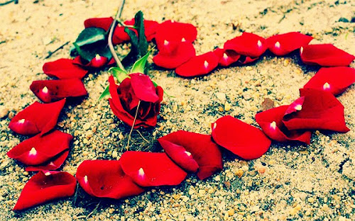 Love Heart of red roses on the ground | Heart Image