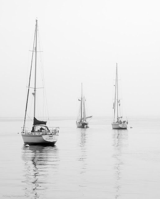 September 2017 Portland, Maine USA photo by Corey Templeton.Sticking with the current weather theme of perpetual fogginess, three boats floating off of the Eastern Promenade.