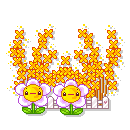 Gif flor