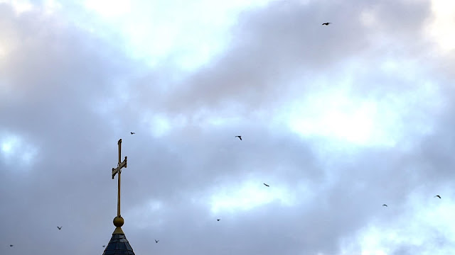 Церковь Всемогущего Бога