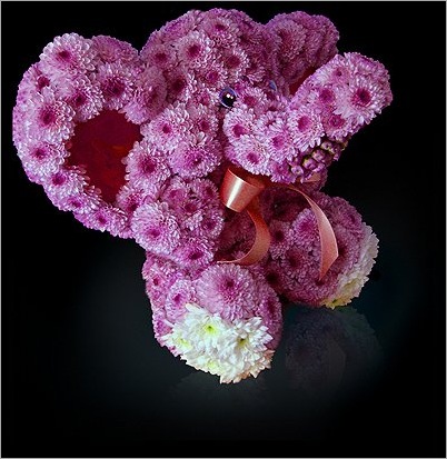 flowers11
