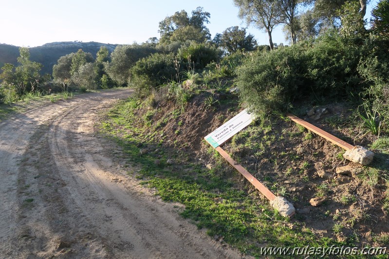 Jimena de la Frontera - Patrite por la ruta de los quintos