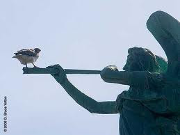 Picture: A jaded-green-from-age-and-weather bronze sculpture of an winged angel blowing a trumpet on which a live bird is perched.  Something is out of place, just like the ntcc board members pumping the members for yet another (compulsory?) 'offering' while the board members are "blowing and going" on about their sacrifices of years gone by.