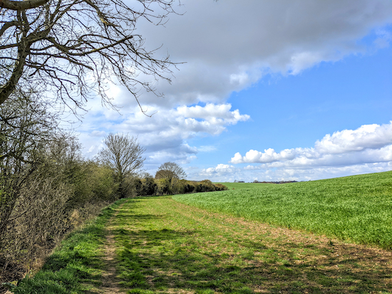 Standon bridleway 3 heading SW from point 8