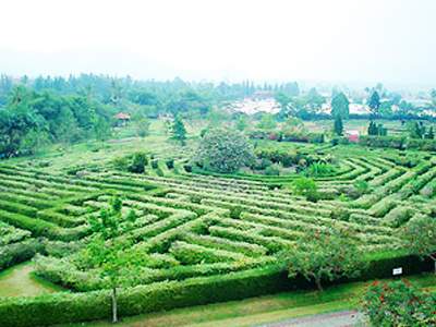 Foto Taman Bunga Nusantara Cipanas, Puncak, Cianjur 