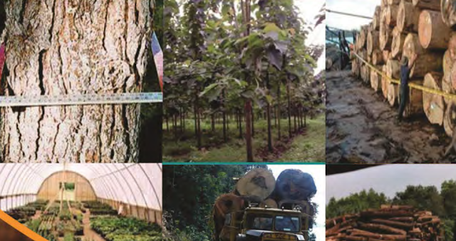 Glosarium/Kata Kunci Terkait Pelajaran Pemanenan Hasil Hutan