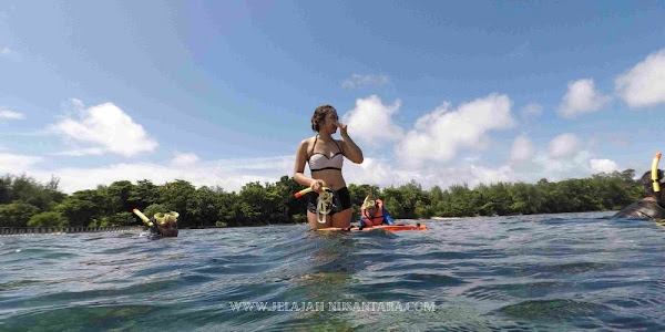 aktivitas wisata trip satu hari pulau pari