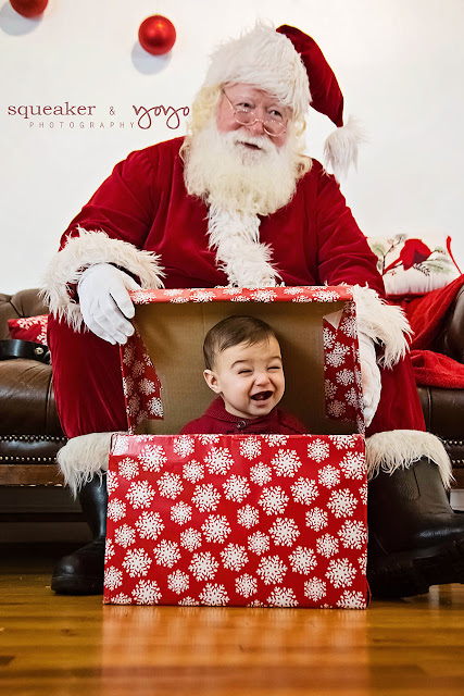 Santa Experience Portraits georgetown