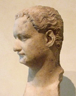 Bust of the Emperor Domitian - Photo of Domitian - derivative work: Steerpike (talk)Domitian_capitoline_profile.png: Steerpike, CC BY-SA 3.0 <https://creativecommons.org/licenses/by-sa/3.0>, via Wikimedia Commons