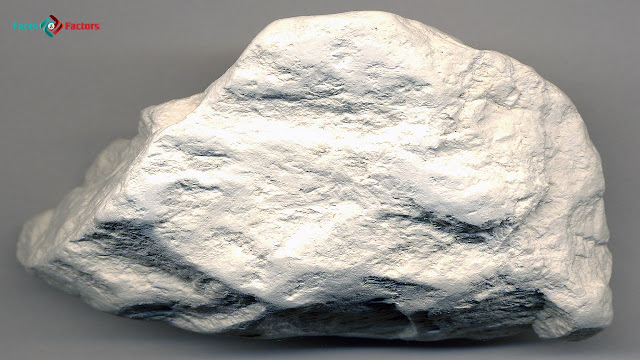 Global Diatomite Market