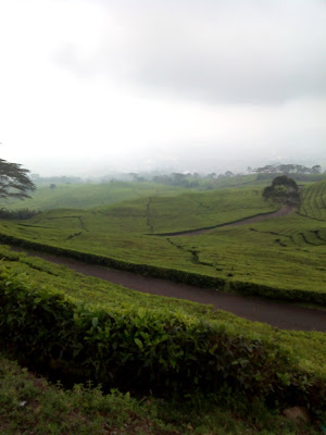 Gunung Dempo Palembang