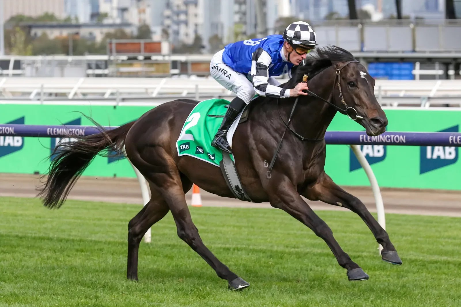 Caulfield Cup 2023 Racings Spring Spectacle