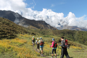 Trekking Group in Himalaya