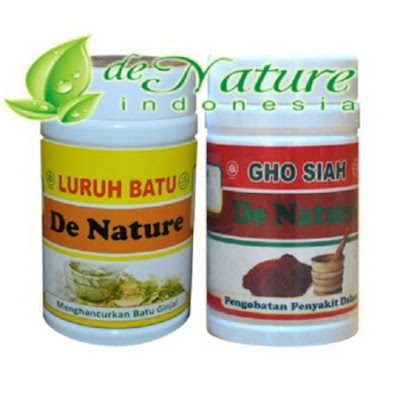 Obat Batu Ginjal De Nature