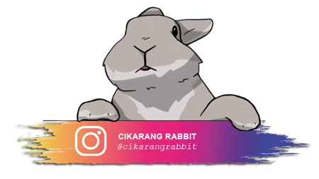 konsultasi kelinci via instagram cikarang rabbit